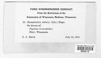 Image Associated With the Occurence